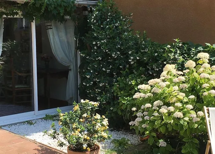 Apartamento Studio Close Fourviere Very Quiet & Small Terrace *