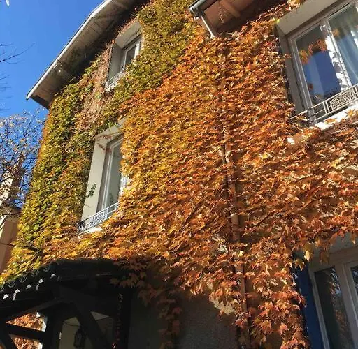 Studio Close Fourviere Very Quiet & Small Terrace