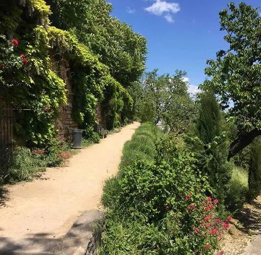Apartamento Studio Close Fourviere Very Quiet & Small Terrace *