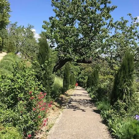 Studio Close Fourviere Very Quiet & Small Terrace Lejlighed Lyon